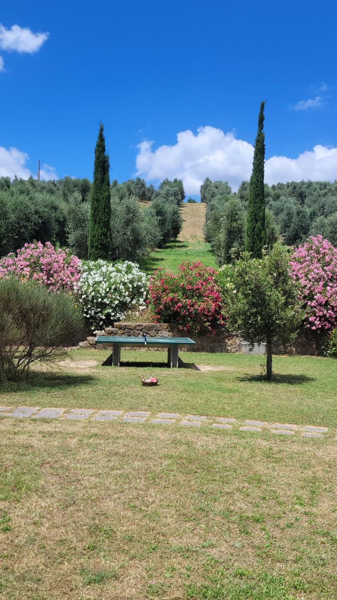 Agriturismo Podere Casalone Limite エクステリア 写真