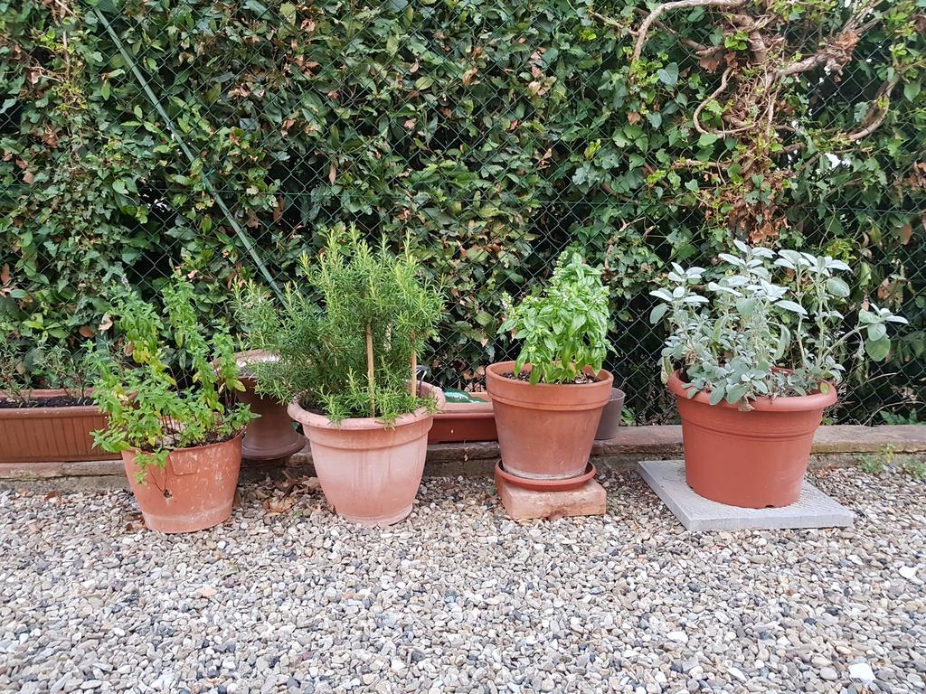 Agriturismo Podere Casalone Limite エクステリア 写真