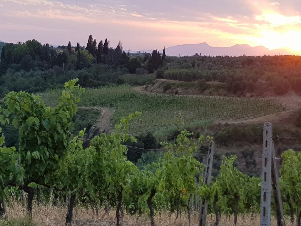 Agriturismo Podere Casalone Limite エクステリア 写真
